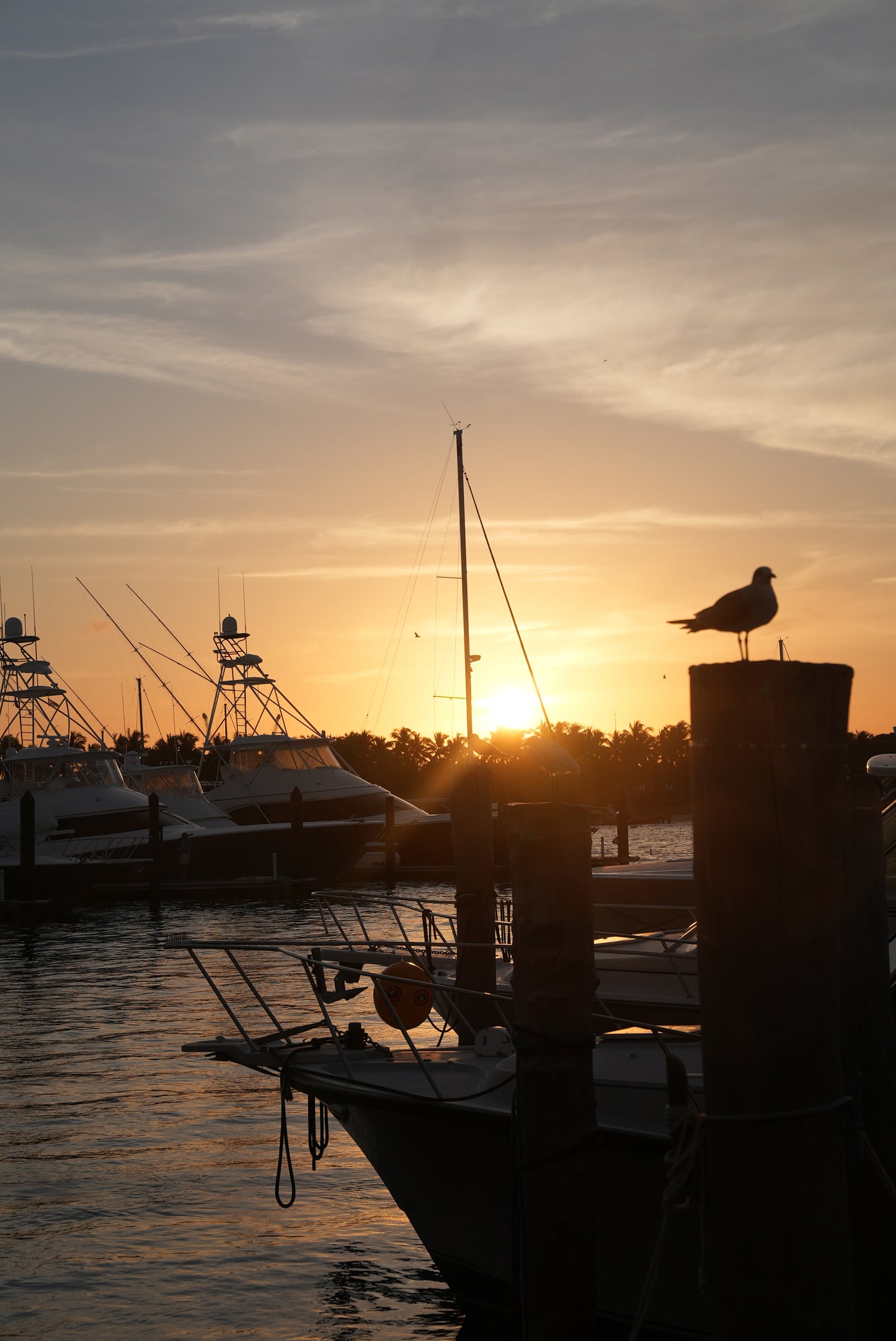 HAVN Residences & Yacht Club