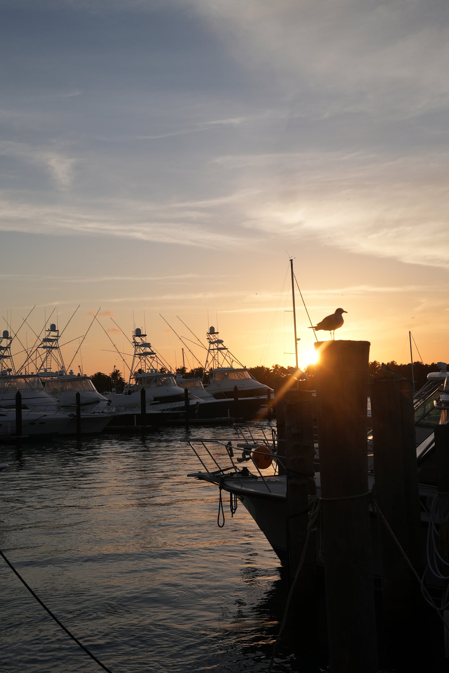 HAVN Residences & Yacht Club