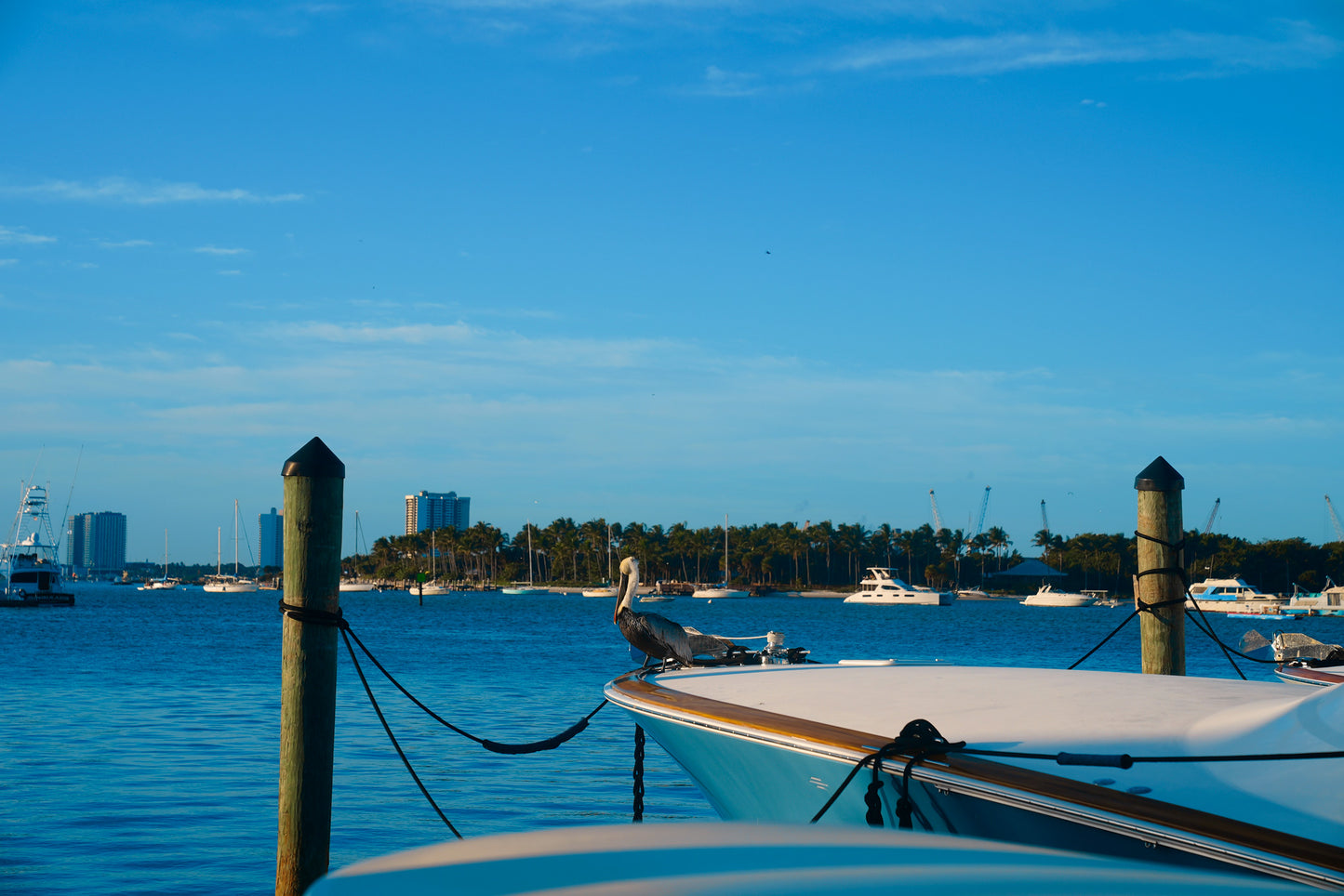 HAVN Residences & Yacht Club